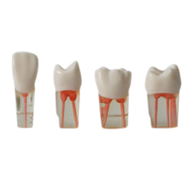 Jingle JG-YS1 — Зубы для лечения корневых каналов