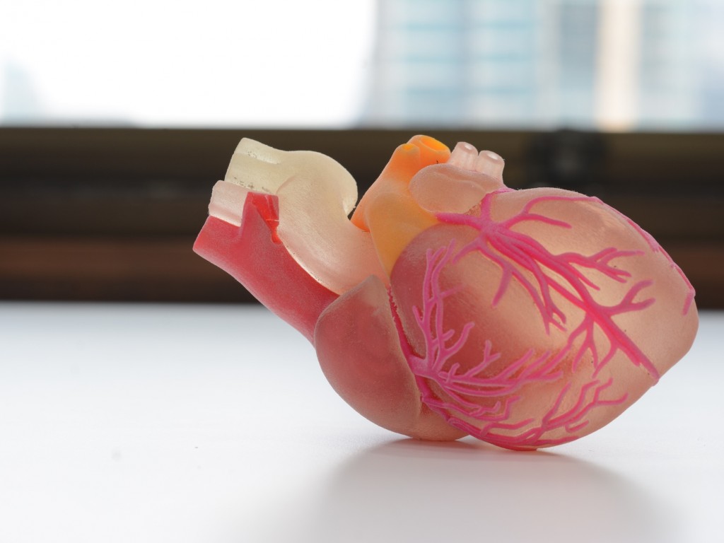 ba81f19aed03b98392c2588728a.jpeg ba81f19aed03b98392c2588728a.jpeg