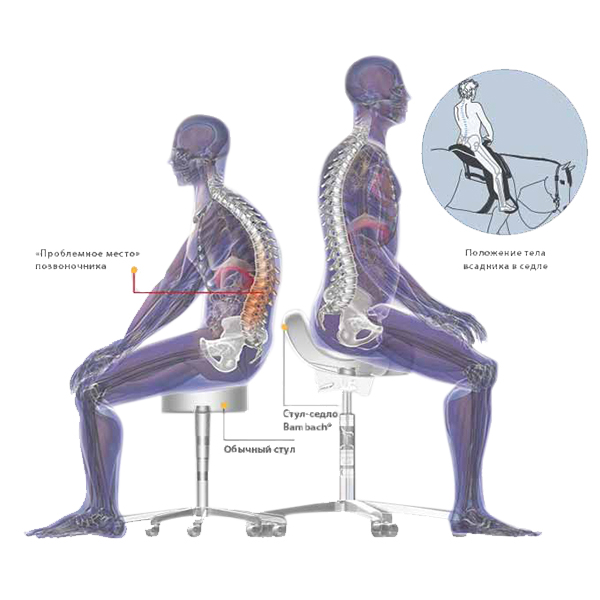 Bambach Classic.jpg Bambach Classic.jpg