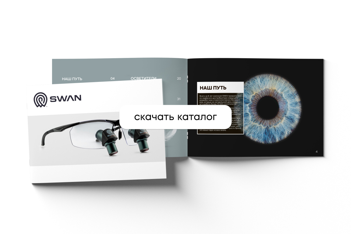 swan.jpg swan.jpg