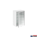 Doctor Doors ШН-7 – Шкаф медицинский навесной