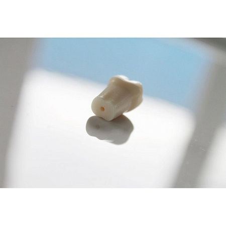 Jingle Spare teeth - запасные зубы к фантомной челюсти, 28 шт.